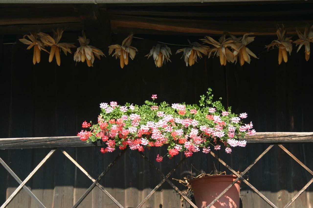 Reiterbauernhof Schoenlehenhof Mank ภายนอก รูปภาพ